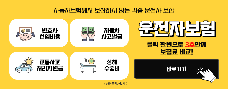 �ڵ������迡�� �������� �ʴ� ���� ������ ���� �����ں���